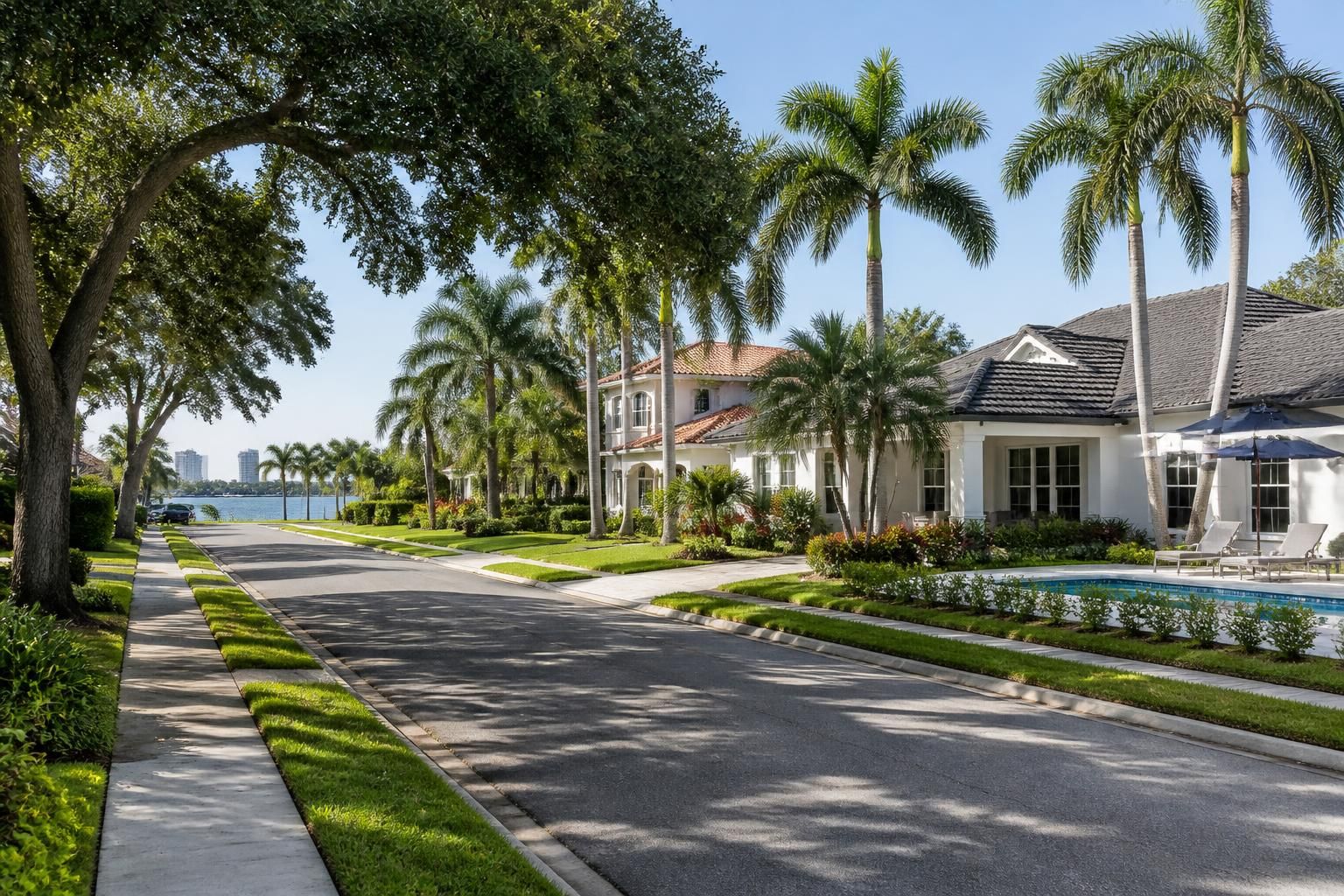 A Tampa neighborhood with palm trees and well-kept homes.